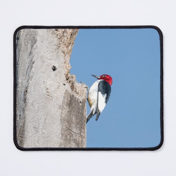 Item preview, Red-Headed Woodpecker on Tree Trunk designed and sold by Debra Martz.