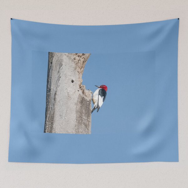 Item preview, Red-Headed Woodpecker on Tree Trunk designed and sold by Debra Martz.