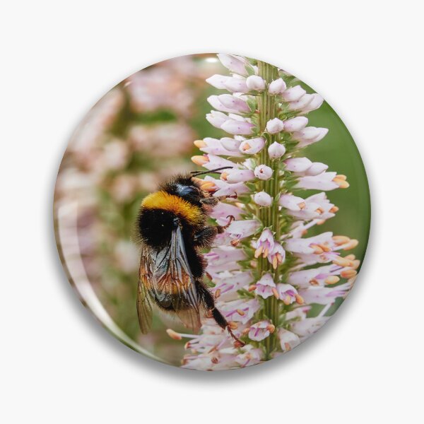 Item preview, Bee Browsing on Culver's Root  designed and sold by Eidetic Photos.