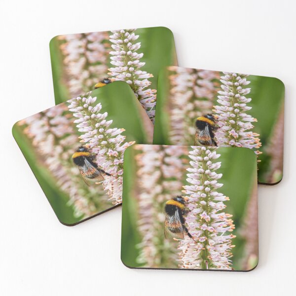 Item preview, Bee Browsing on Culver's Root  designed and sold by Eidetic Photos.