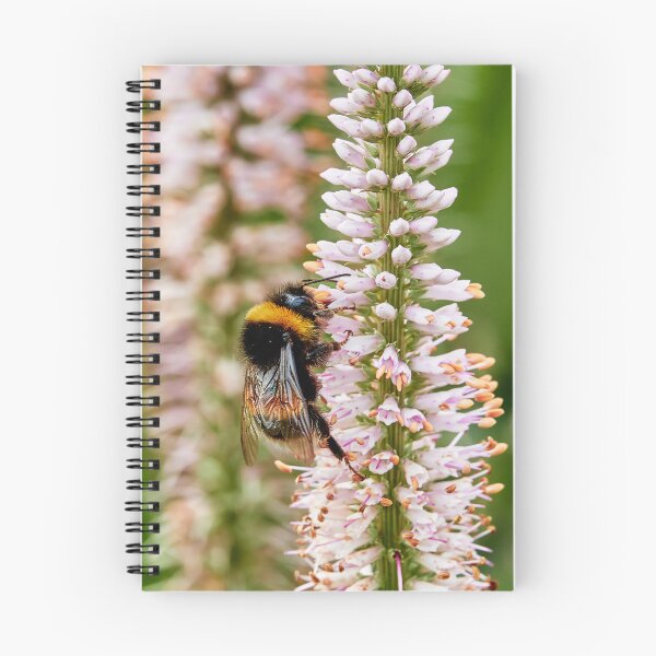Item preview, Bee Browsing on Culver's Root  designed and sold by Eidetic Photos.