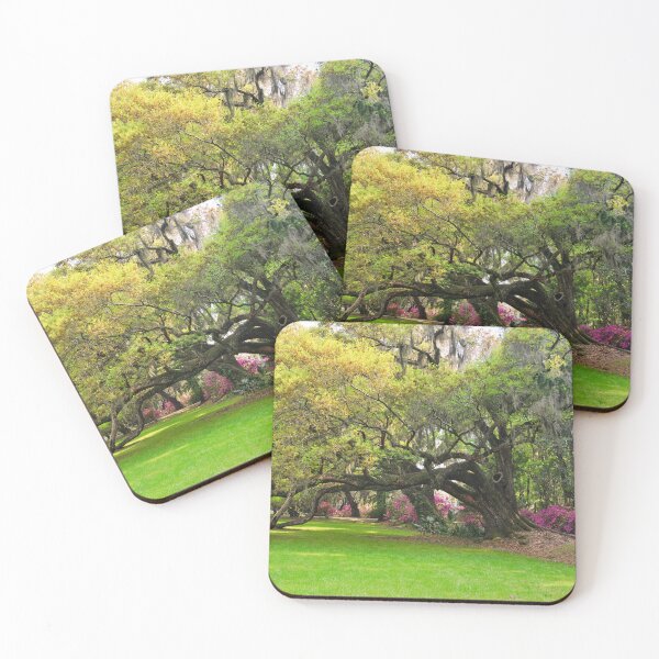 Item preview, Oak Trees And Azalea's Magnolia Plantation Gardens designed and sold by LisaWootenPhoto.