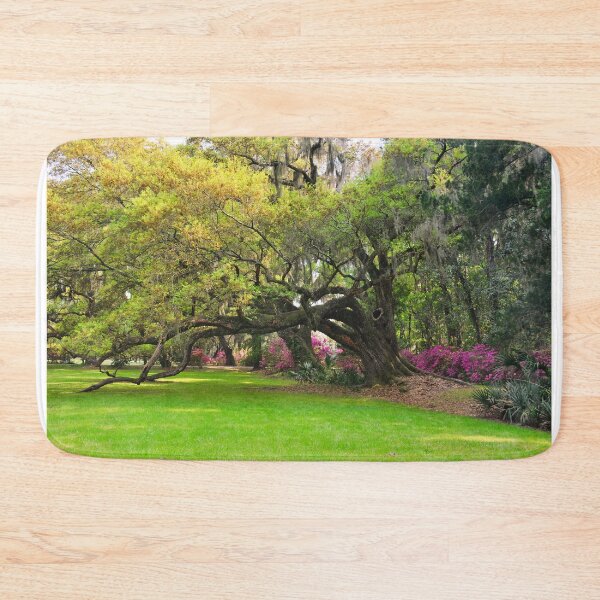 Item preview, Oak Trees And Azalea's Magnolia Plantation Gardens designed and sold by LisaWootenPhoto.