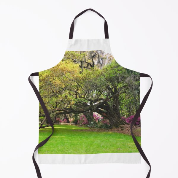 Item preview, Oak Trees And Azalea's Magnolia Plantation Gardens designed and sold by LisaWootenPhoto.
