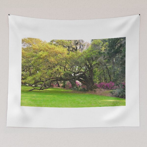 Item preview, Oak Trees And Azalea's Magnolia Plantation Gardens designed and sold by LisaWootenPhoto.