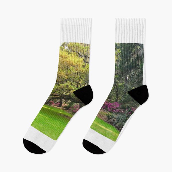 Item preview, Oak Trees And Azalea's Magnolia Plantation Gardens designed and sold by LisaWootenPhoto.