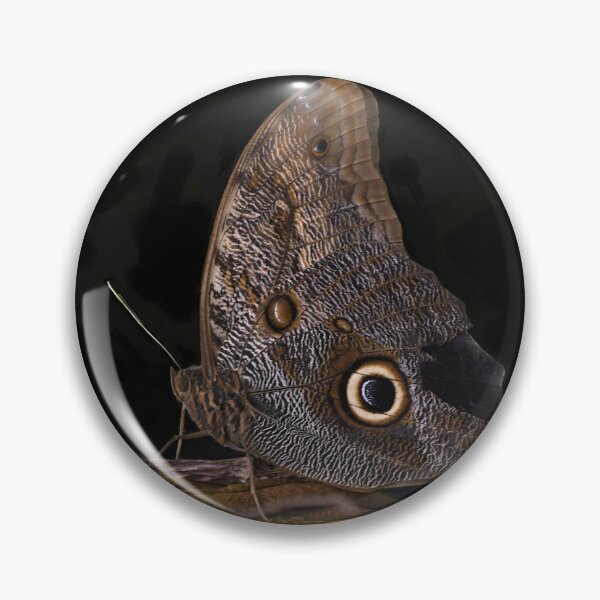Item preview, Giant Owl Butterfly on Textured Bark designed and sold by richardbryce.