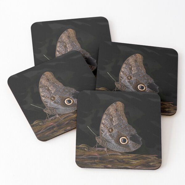 Item preview, Giant Owl Butterfly on Textured Bark designed and sold by richardbryce.