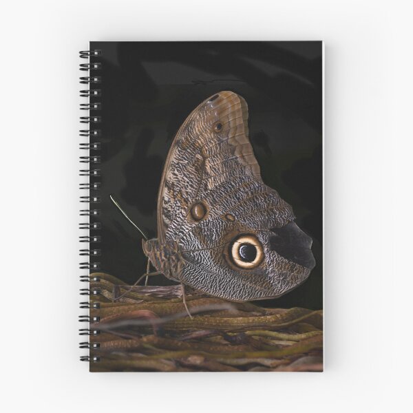 Item preview, Giant Owl Butterfly on Textured Bark designed and sold by richardbryce.