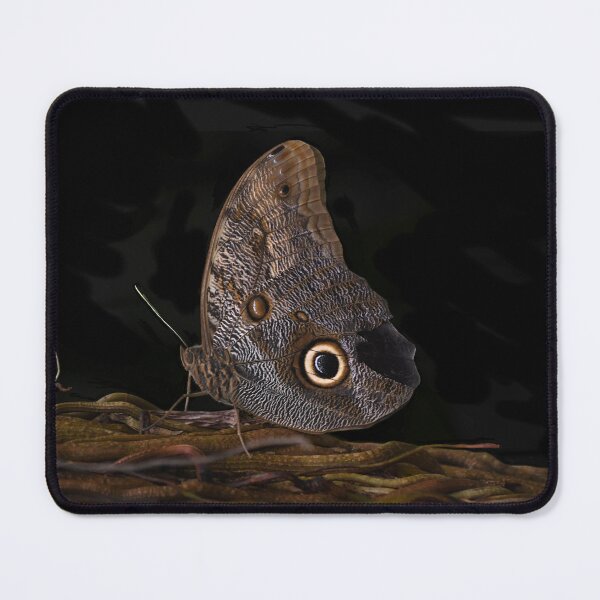 Item preview, Giant Owl Butterfly on Textured Bark designed and sold by richardbryce.