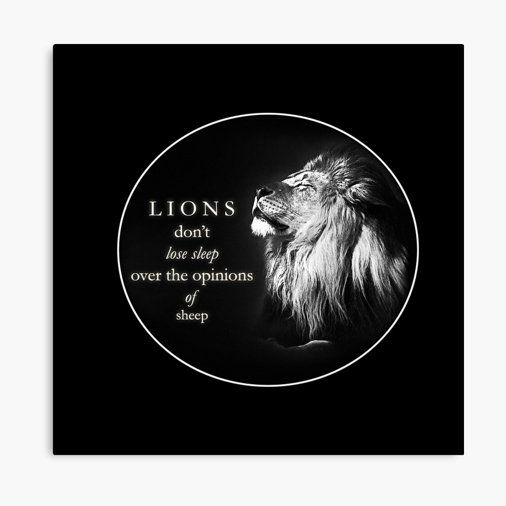 Lions care not for the opinions of sheep. - Reconverge