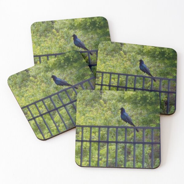 Item preview, Bird on a Fence designed and sold by ROSENDE ART HOUSE.