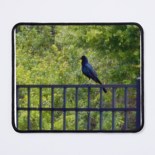 Item preview, Bird on a Fence designed and sold by ROSENDE ART HOUSE.