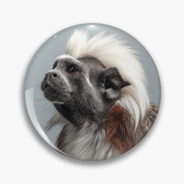 Item preview, Cottontop Tamarin designed and sold by Savannah Gibbs.