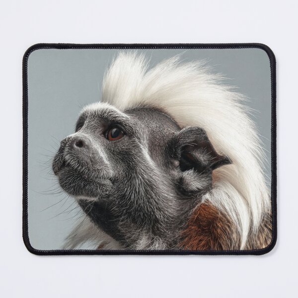 Item preview, Cottontop Tamarin designed and sold by Savannah Gibbs.