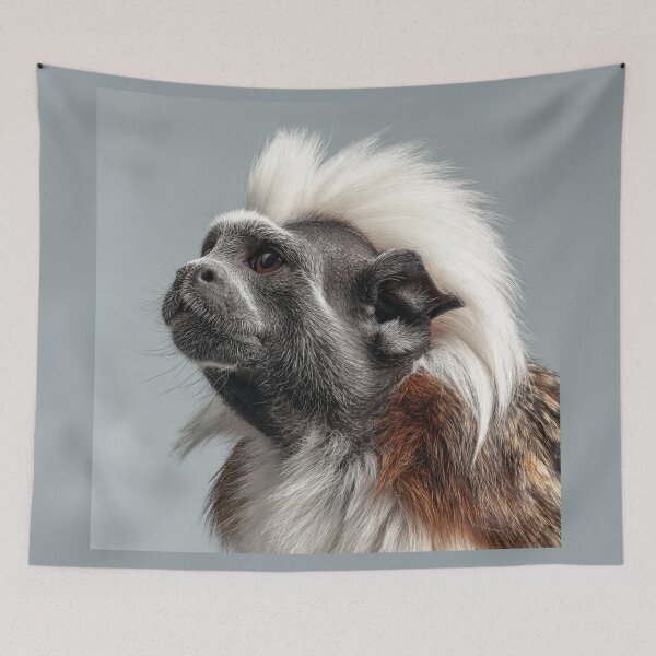 Item preview, Cottontop Tamarin designed and sold by Savannah Gibbs.