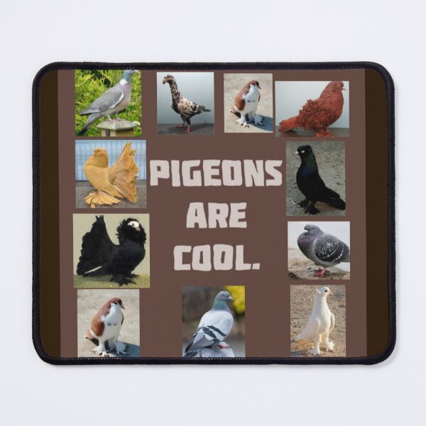 Item preview, "Pigeons are cool." Design. designed and sold by Freakcreations9.