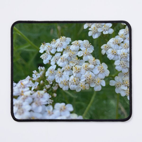 Item preview, Yarrow for No Sorrow 7 designed and sold by Abeink1030.