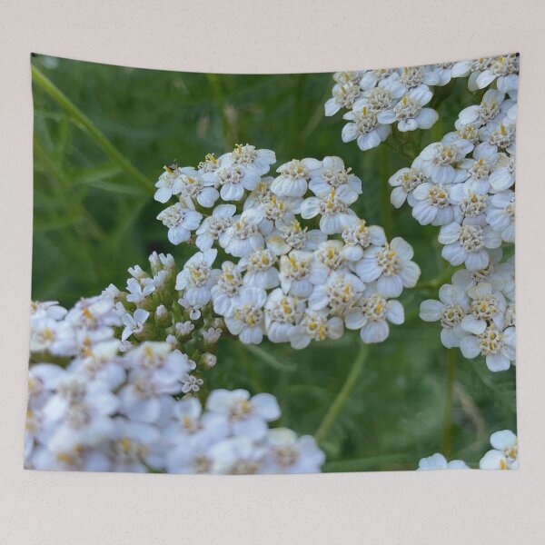 Item preview, Yarrow for No Sorrow 7 designed and sold by Abeink1030.