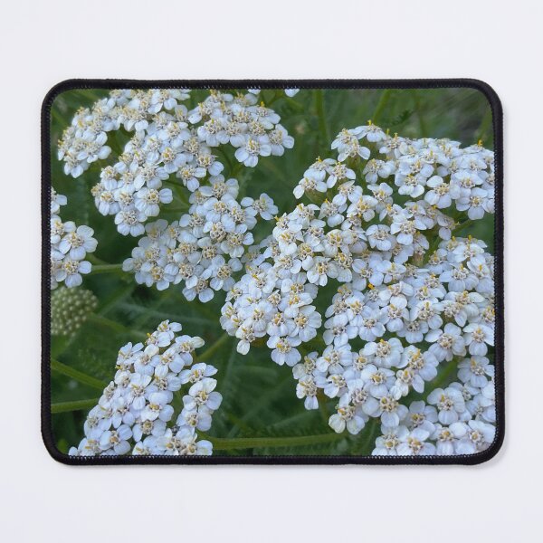 Item preview, Yarrow for No Sorrow 9 designed and sold by Abeink1030.