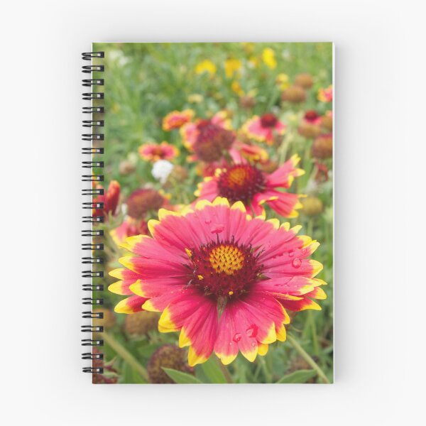 Item preview, Firewheels Gaillardia Flowers designed and sold by Douglas E. Welch Design and Photography.