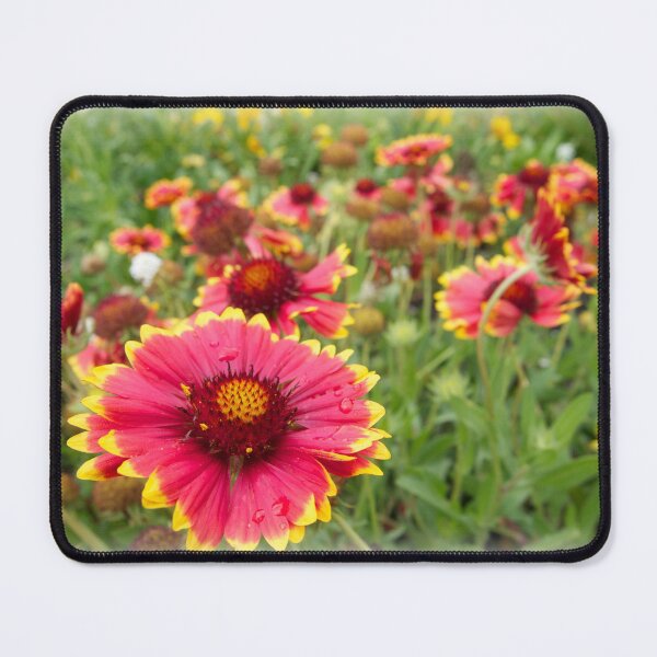 Item preview, Firewheels Gaillardia Flowers designed and sold by Douglas E. Welch Design and Photography.