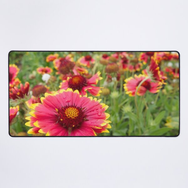 Item preview, Firewheels Gaillardia Flowers designed and sold by Douglas E. Welch Design and Photography.