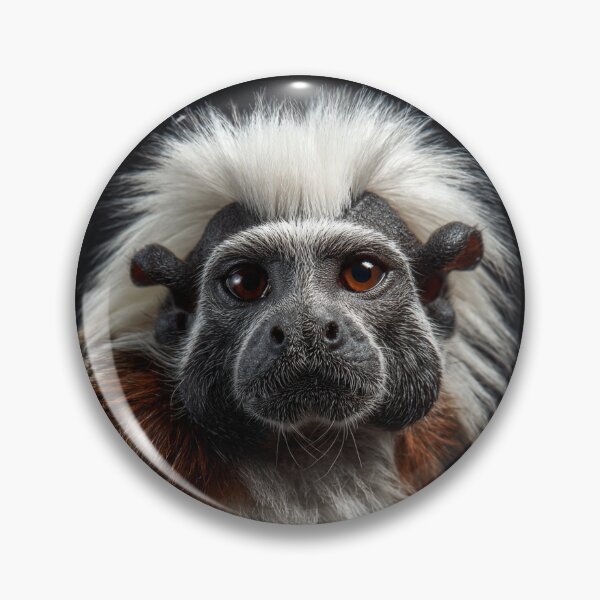 Item preview, Tamarin Monkey Close-Up designed and sold by Savannah Gibbs.