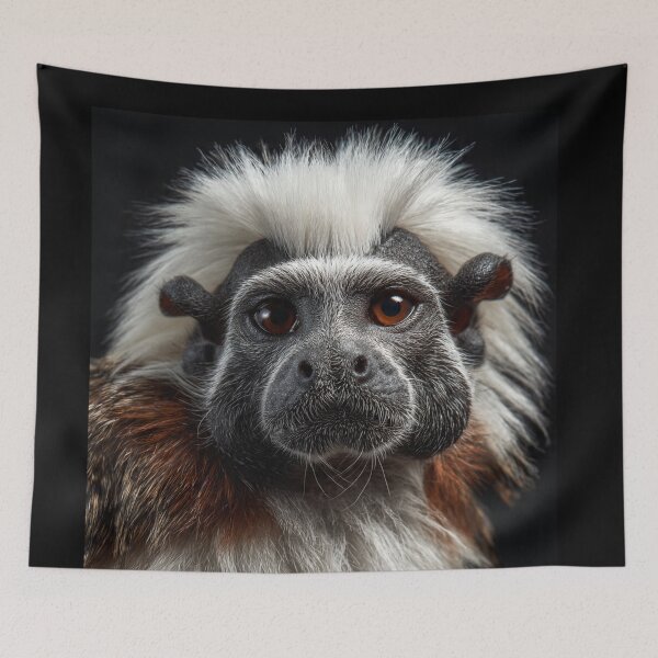 Item preview, Tamarin Monkey Close-Up designed and sold by Savannah Gibbs.