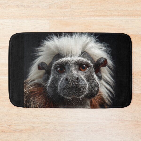 Item preview, Tamarin Monkey Close-Up designed and sold by Savannah Gibbs.