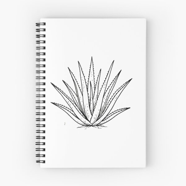 Item preview, Aloevera plant designed and sold by Daboosart.