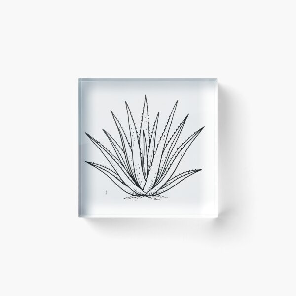 Item preview, Aloevera plant designed and sold by Daboosart.