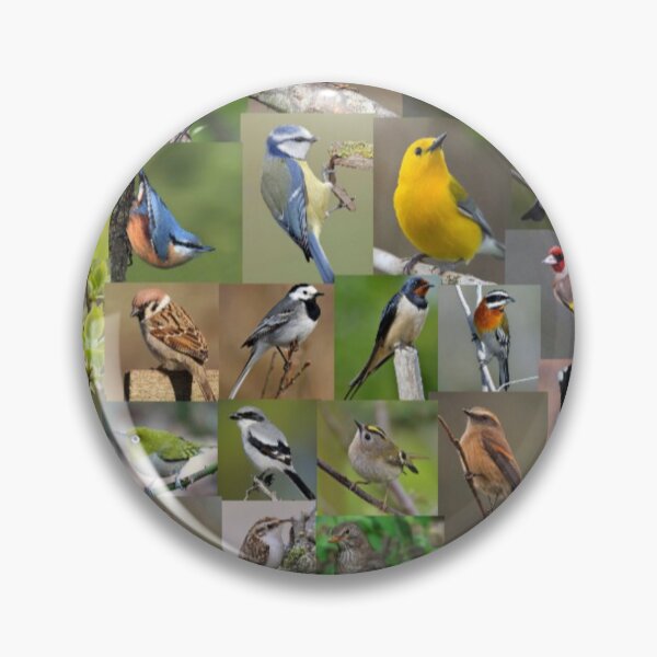 Item preview, Garden/Small Birds Galore. designed and sold by Freakcreations9.