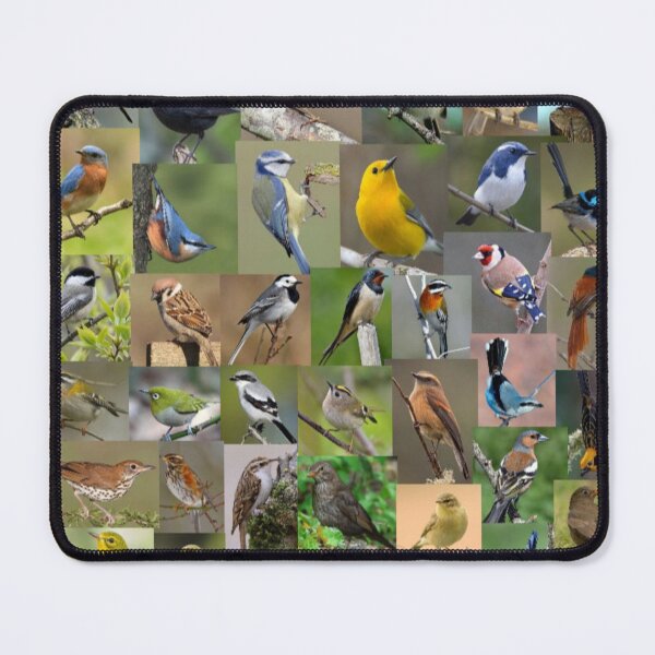 Item preview, Garden/Small Birds Galore. designed and sold by Freakcreations9.