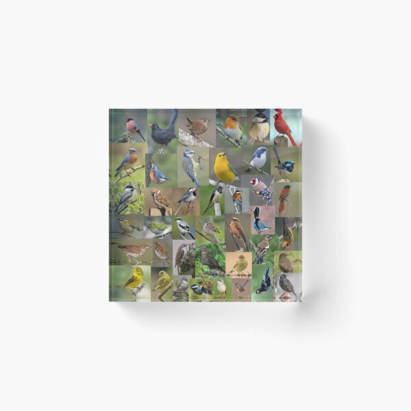 Item preview, Garden/Small Birds Galore. designed and sold by Freakcreations9.