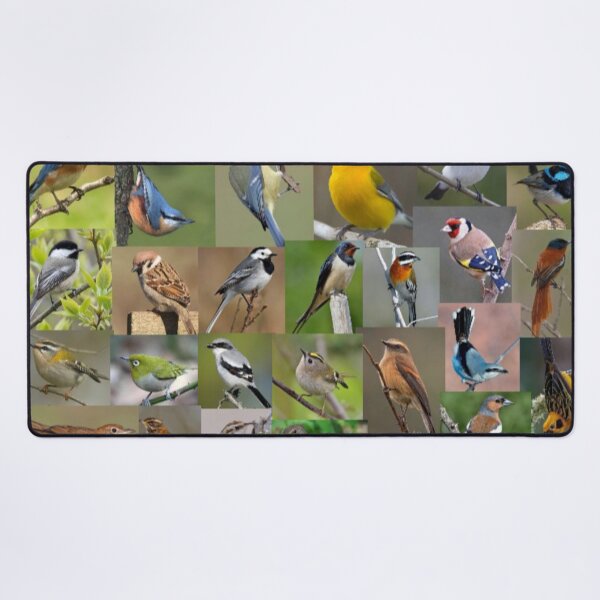Item preview, Garden/Small Birds Galore. designed and sold by Freakcreations9.