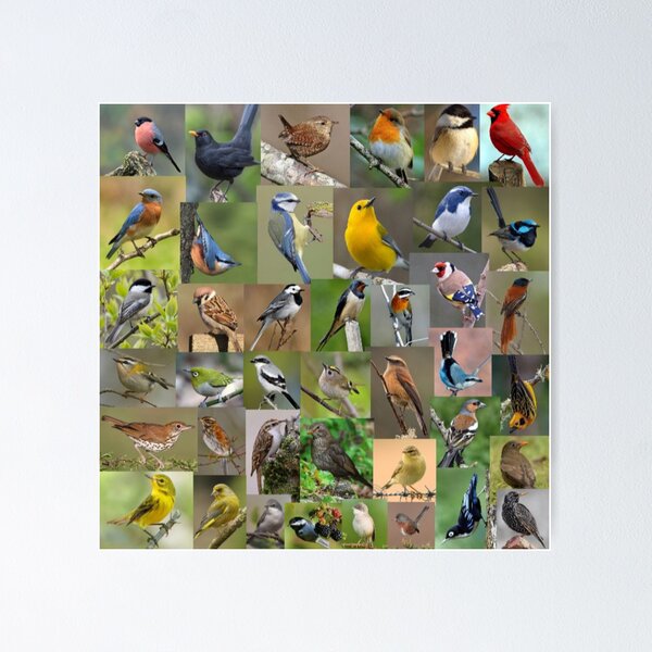 Item preview, Garden/Small Birds Galore. designed and sold by Freakcreations9.