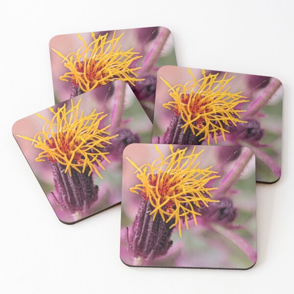 Item preview, Velvet and Gold  designed and sold by Elements of SPAC3 .