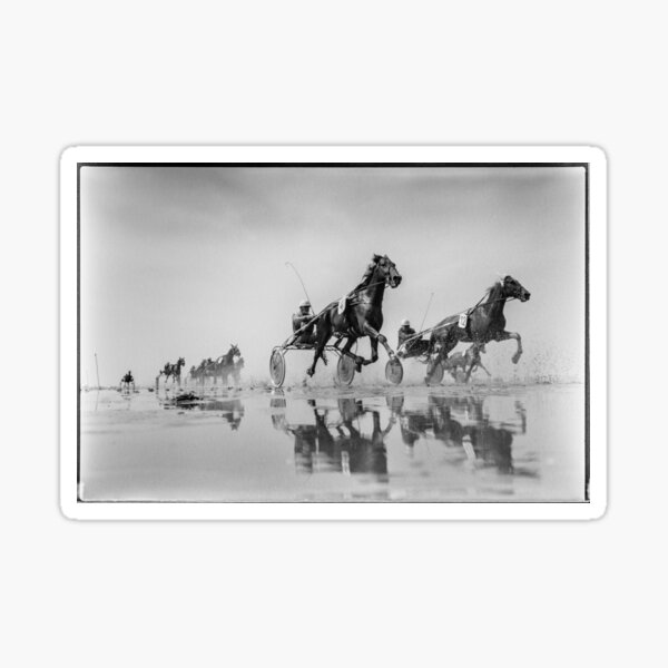 Item preview, Wadden Sea Horse Race designed and sold by Manfred Belau.