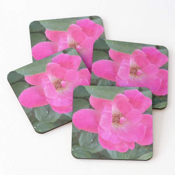 Item preview, Vibrant Pink Knockout Rose Blooming designed and sold by greyforaday.