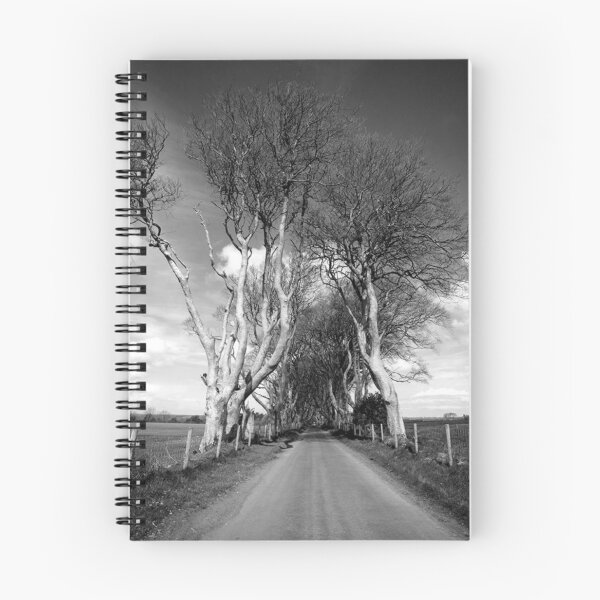 Item preview, Majestic Avenue of Bare Trees designed and sold by Gutkowskiol.
