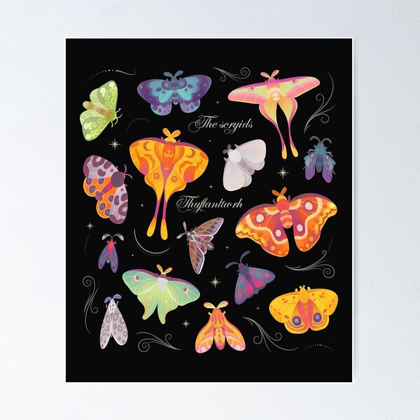 Item preview, Vibrant Moth Collection Illustration designed and sold by folk-4-arts.