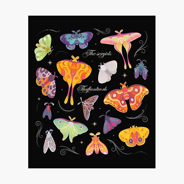 Item preview, Vibrant Moth Collection Illustration designed and sold by folk-4-arts.