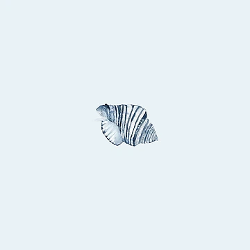 Artwork thumbnail, Indigo seashell by RPrince1
