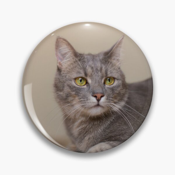 Item preview, Closeup picture of a beautiful cat designed and sold by Art-spree.