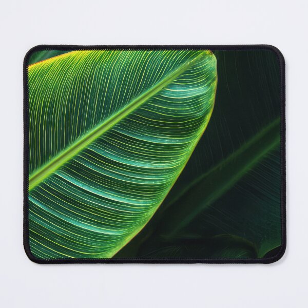 Item preview, Banana leaves close up photography designed and sold by Art-spree.