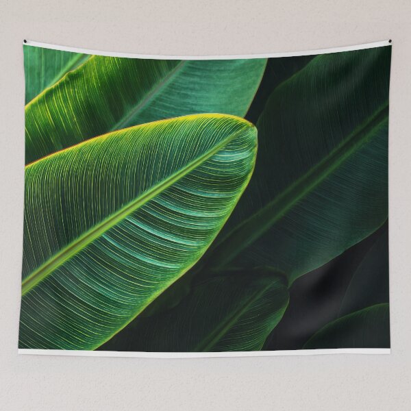 Item preview, Banana leaves close up photography designed and sold by Art-spree.