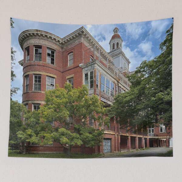Item preview, Abandoned Asylum designed and sold by Alexander Krishchyunas.