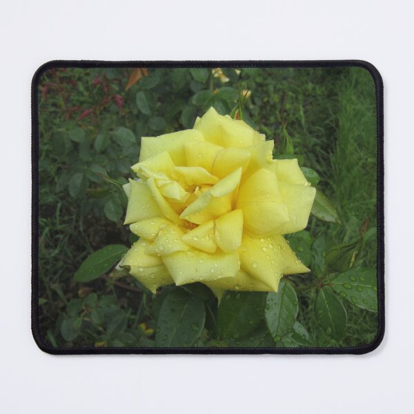 Item preview, Yellow Rose designed and sold by Alexander Krishchyunas.