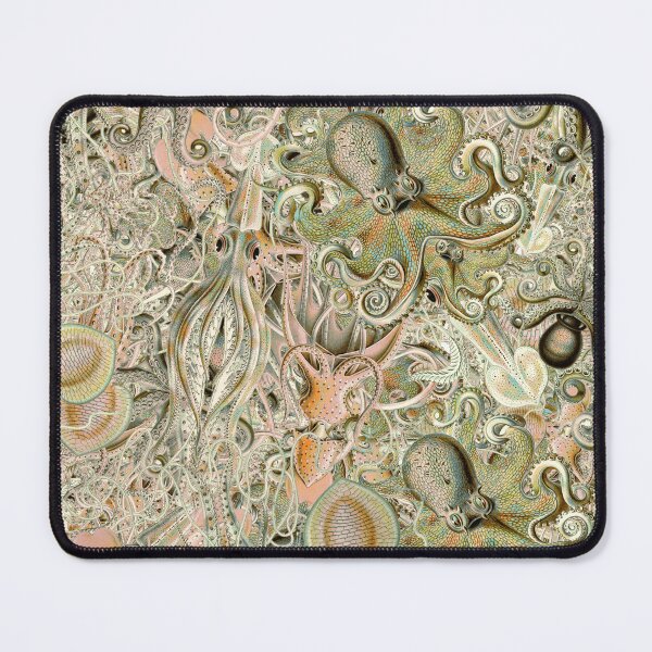 Item preview, Cephalopoda designed and sold by aeolia.